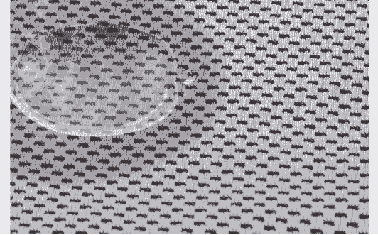 bwin·必赢医用纺织