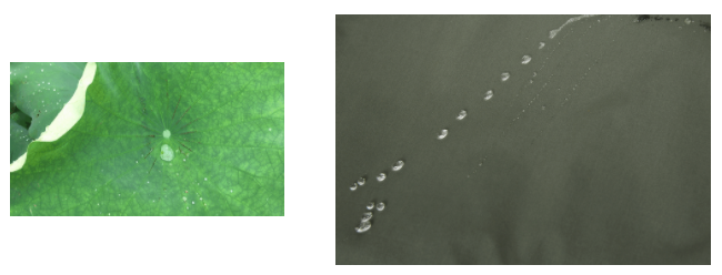 bwin·必赢医用纺织