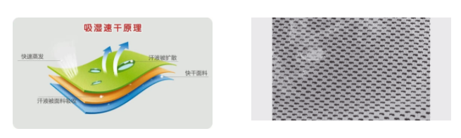 bwin·必赢医用纺织