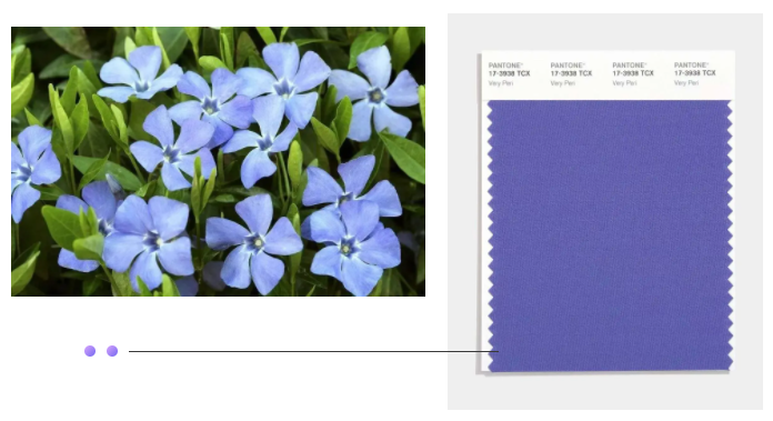 bwin·必赢纺织面料