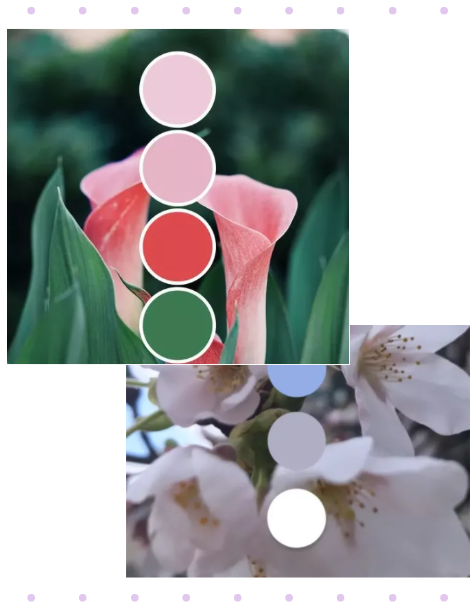 bwin·必赢纺织面料